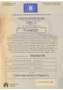 Toyota Proace Proace 1,6-l-D-4D L2 (8-Si.) Verso Family Comfort Brun - thumbnail 6