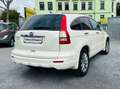 Honda CR-V Executive 2.HAND PANORAMADACH LEDER KLIMA ALU Weiß - thumbnail 4