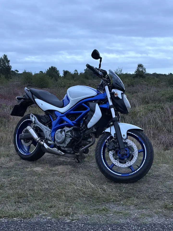 Suzuki Gladius 650