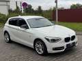 BMW 120 d Sport Line BI-XENON*NAVI*Tempomat*TÜV NEU Bianco - thumbnail 3