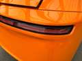 Autres PREMIUM Orange - thumbnail 11