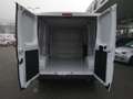 Fiat Ducato Weiß - thumbnail 11