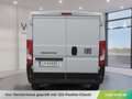 Fiat Ducato Weiß - thumbnail 7