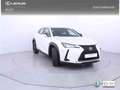Lexus UX 250h 2.0 Business Blanc - thumbnail 27