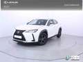 Lexus UX 250h 2.0 Business Blanc - thumbnail 1