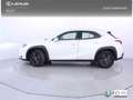 Lexus UX 250h 2.0 Business Blanc - thumbnail 4