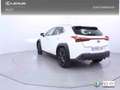 Lexus UX 250h 2.0 Business Blanc - thumbnail 3