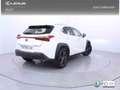 Lexus UX 250h 2.0 Business Blanc - thumbnail 26