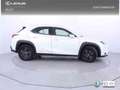 Lexus UX 250h 2.0 Business Blanc - thumbnail 25