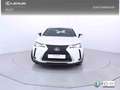Lexus UX 250h 2.0 Business Blanc - thumbnail 6