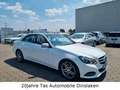 Mercedes-Benz E 220 BlueTEC 4Matic 7G-TRONIC Avantgarde"Seniorenfahrzg Blanc - thumbnail 2