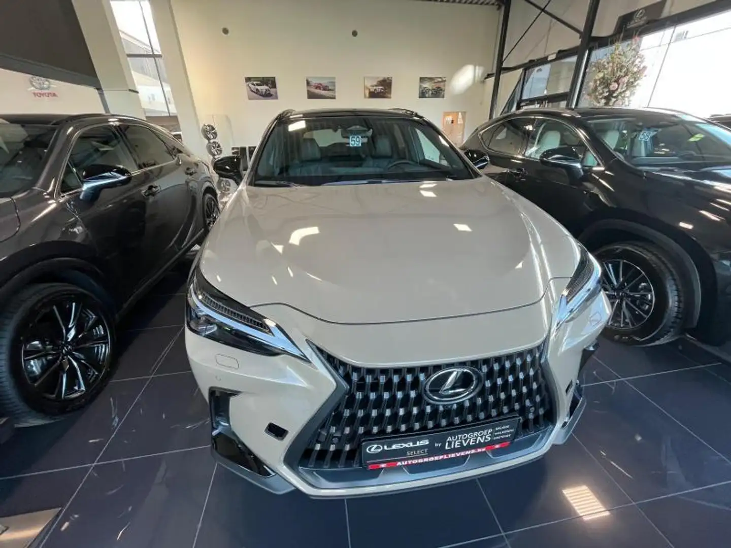 Lexus NX 350h OVERTRAIL AWD 2.5HYB CVT Marrón - 2