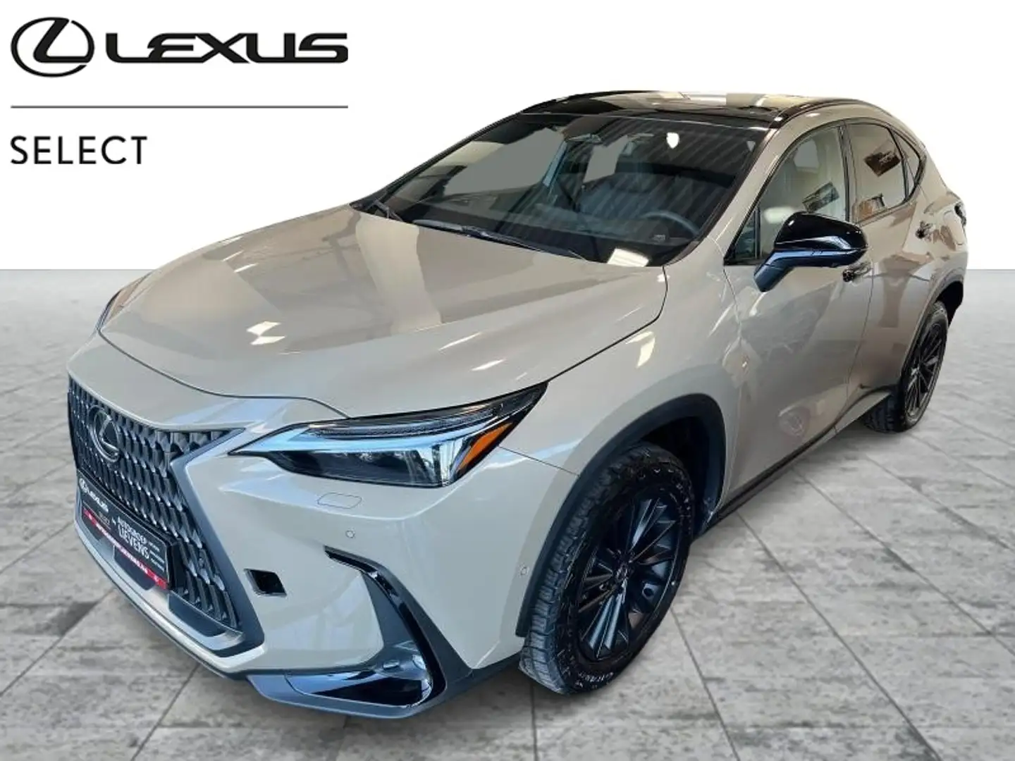 Lexus NX 350h OVERTRAIL AWD 2.5HYB CVT Marrón - 1
