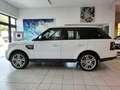 Land Rover Range Rover Sport 3.0 SDV6 HSE Automatic Pelle Radica Navi Bianco - thumbnail 5