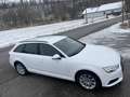 Audi A4 basis Weiß - thumbnail 7