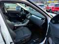Land Rover Range Rover Evoque 2.0 ED4 150 BV6 GPS CAMERA RADAR Weiß - thumbnail 9