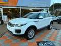Land Rover Range Rover Evoque 2.0 ED4 150 BV6 GPS CAMERA RADAR Weiß - thumbnail 1