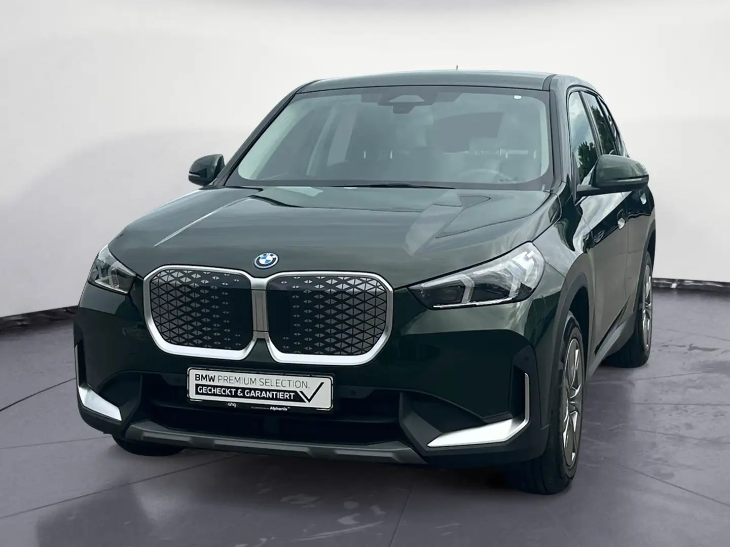 BMW iX1 xDrive30 Navi Bluetooth PDC Kurvenlicht Groen - 2