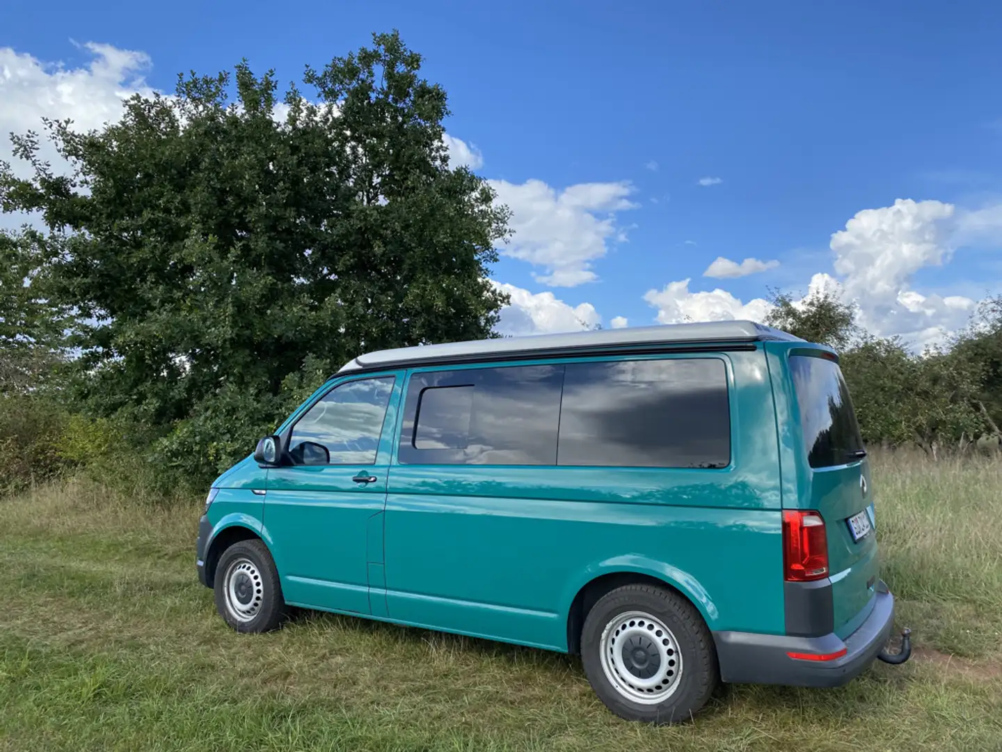 Volkswagen T6 Transporter Transporter T6 Kurz Grün - 2