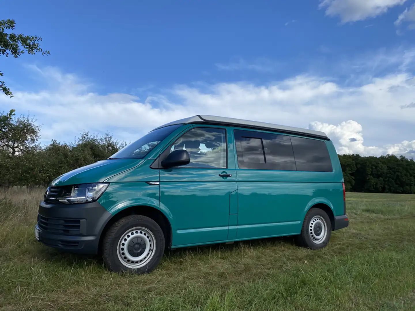 Volkswagen T6 Transporter Transporter T6 Kurz Grün - 1