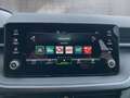 Skoda Fabia Essence Grau - thumbnail 15
