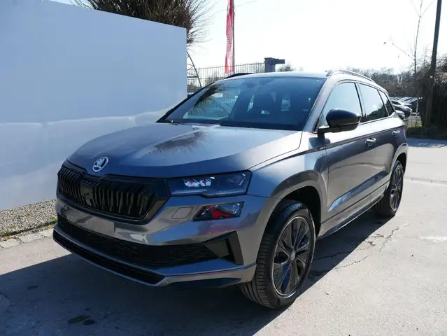Skoda Karoq main image