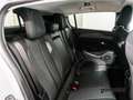 Peugeot 308 ALLURE 1.2 PURETECH 130CV 5P Blanco - thumbnail 13