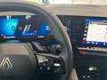 Renault Austral Evolution TCe 160  AUTOMATIK Gris - thumbnail 9