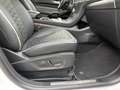 Ford S-Max 2.0 EcoBlue 190cv Vignale Auto S&S my19 1136579 Weiß - thumbnail 22