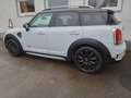 MINI Cooper D Countryman Countryman Cooper D All4 LED 18Zoll SHZ Weiß - thumbnail 6