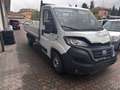 Fiat Ducato cassone fisso Blanc - thumbnail 3