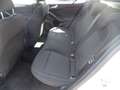 Ford Focus Turnier 1.0 EcoBoost Titanium *AHK*ACC* Plateado - thumbnail 14