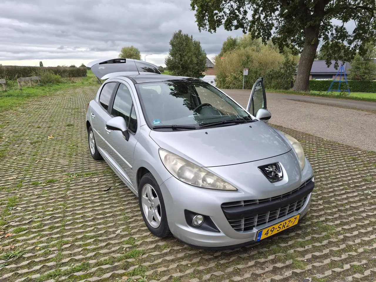 Peugeot 207