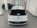 Fiat Punto Evo Punto Evo 5p 1.2 Dynamic s Bianco - thumbnail 8
