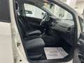 Fiat Punto Evo Punto Evo 5p 1.2 Dynamic s Bianco - thumbnail 11
