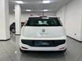 Fiat Punto Evo Punto Evo 5p 1.2 Dynamic s Bianco - thumbnail 7