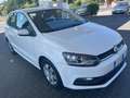 Volkswagen Polo Polo 5 PORTE BUSINESS NEOPATENTATI EURO 6 Blanc - thumbnail 7