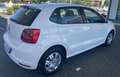 Volkswagen Polo Polo 5 PORTE BUSINESS NEOPATENTATI EURO 6 Blanc - thumbnail 3