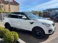 Land Rover Range Rover Sport 2.0 SD4 HSE pano navi leder 20" Wit - thumbnail 8