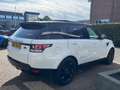 Land Rover Range Rover Sport 2.0 SD4 HSE pano navi leder 20" Wit - thumbnail 7