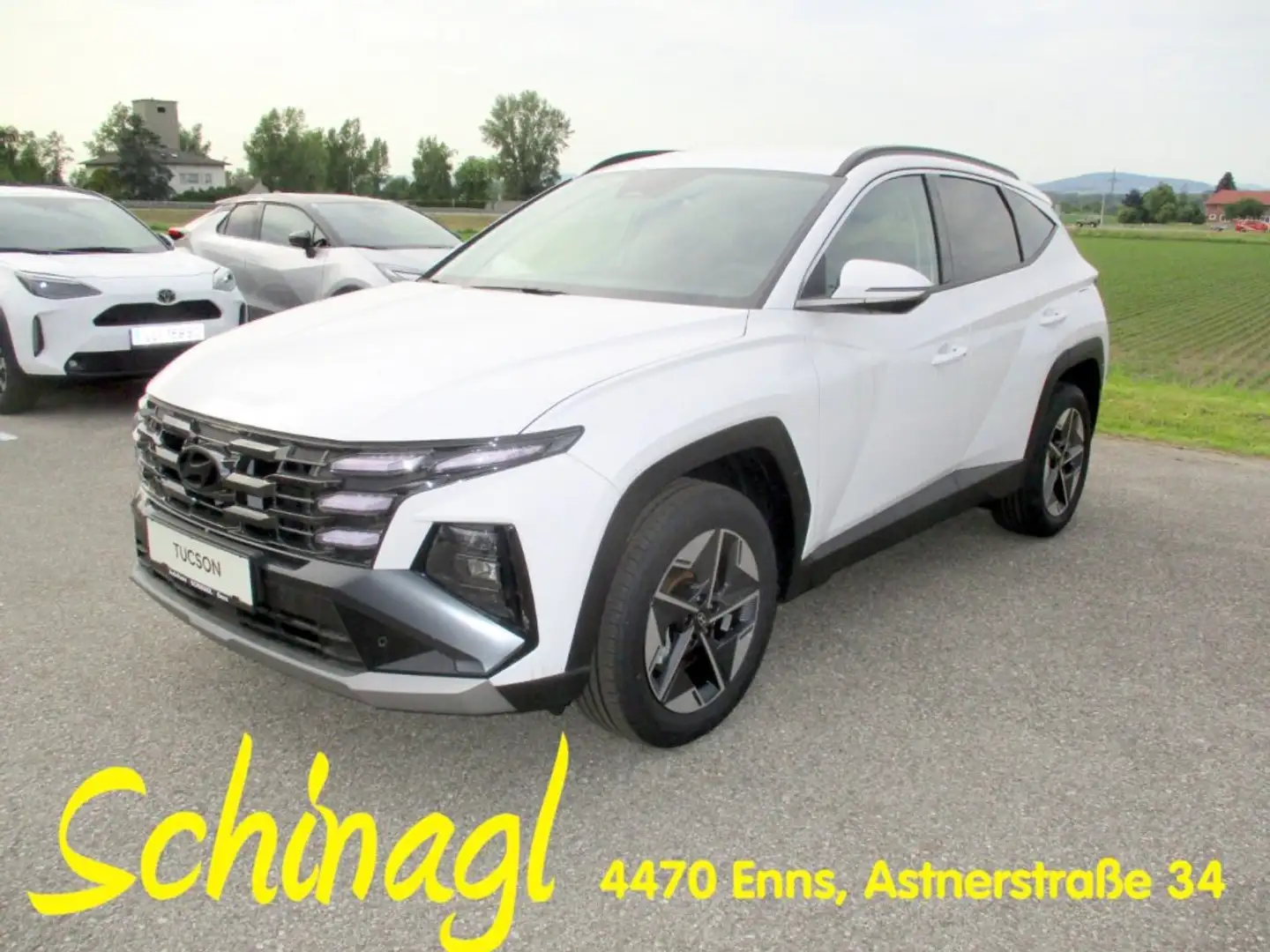 Hyundai TUCSON NX4 GO 1,6 T-GDi HEV 2WD AT t5hg1 Weiß - 1