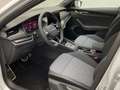 Skoda Octavia Sportline 2.0 TDI 150PS DSG Weiß - thumbnail 9