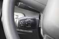 Fiat Doblo Doblo Kastenwagen BlueHDi 100 S&S XL erh. Nutzlast Schwarz - thumbnail 14