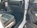 Ford Ranger Doppelkabine Wildtrak e-4WD 2,0 EcoBlue Aut Weiß - thumbnail 13