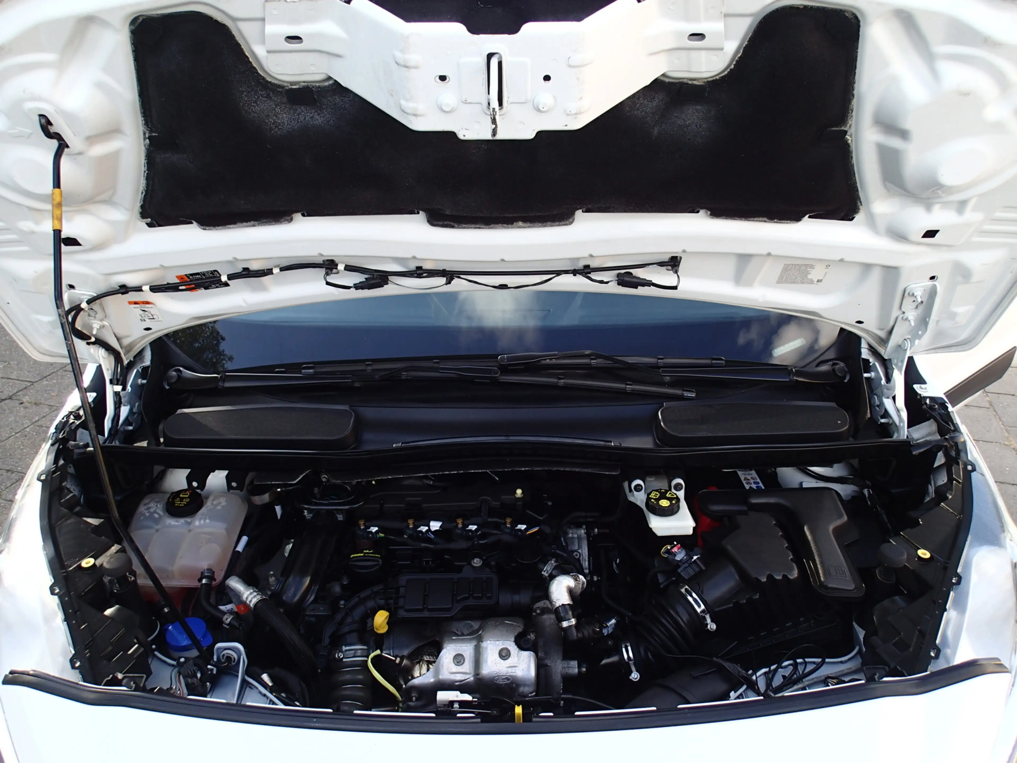 Ford Transit Connect 1.5 EcoBlue L1 Trend — photo 21