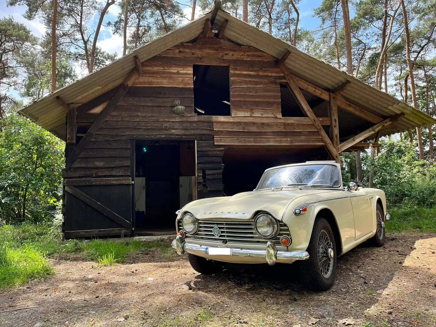Triumph TR4 A IRS Weiß - 2