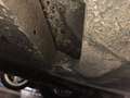 Triumph TR4 A IRS Weiß - thumbnail 12