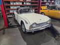 Triumph TR4 A IRS Weiß - thumbnail 3