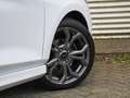Ford Fiesta ST-Line 1.0 EcoBoost 95pk NAVI | PRIVACY GLASS | C Blanco - thumbnail 6