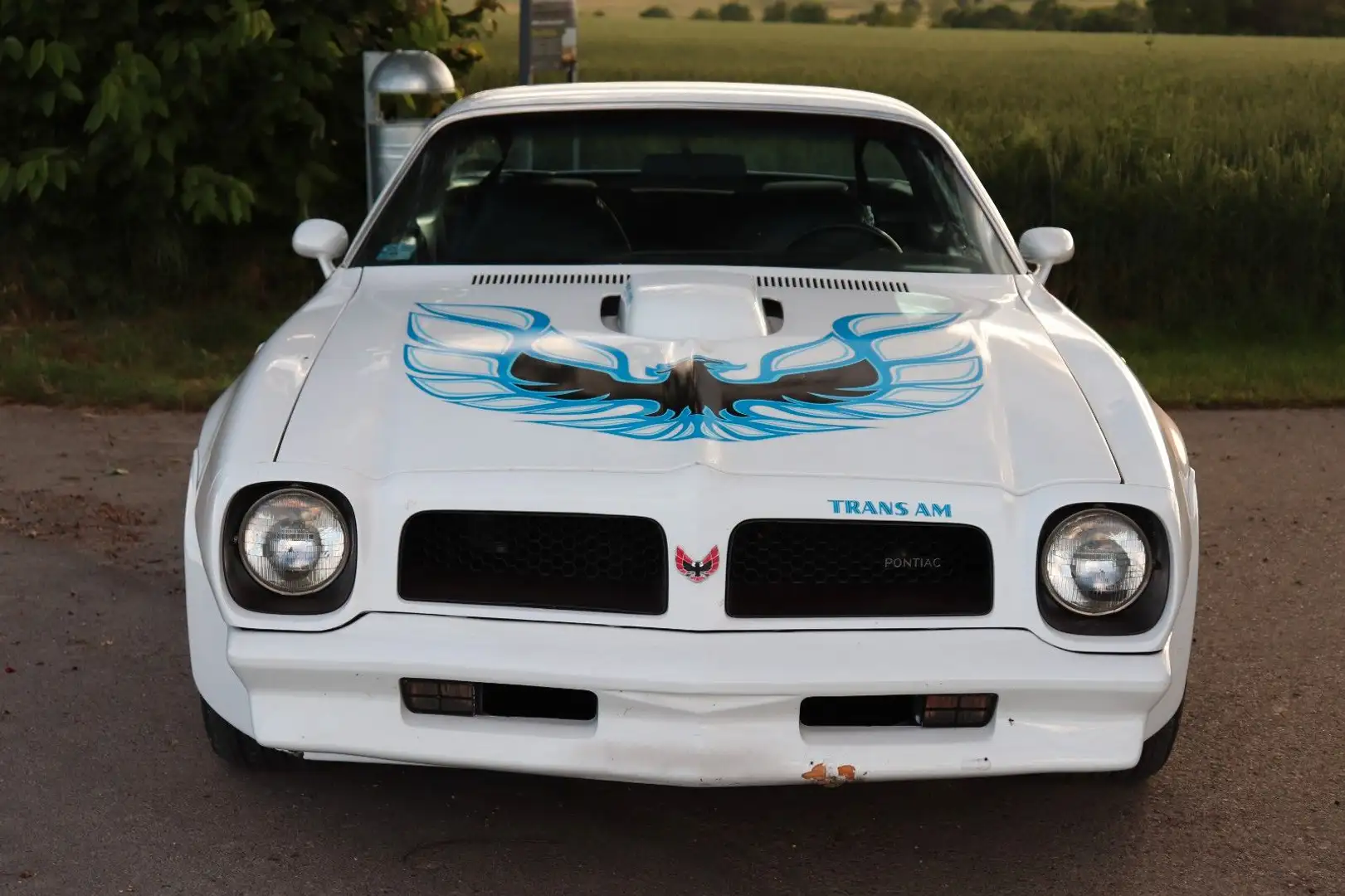 Pontiac Firebird Trans Am 455-HO Coupe 7,5 L|H-Zul|Seltenheit Weiß - 1